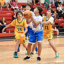 Enlarge photo 529