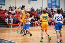 Enlarge photo 536