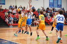 Enlarge photo 539