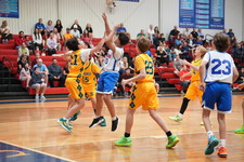 Enlarge photo 540