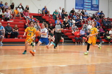 Enlarge photo 557