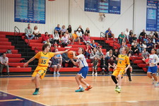 Enlarge photo 564