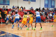 Enlarge photo 647
