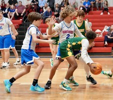 Enlarge photo 74