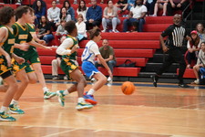 Enlarge photo 137