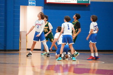 Enlarge photo 174