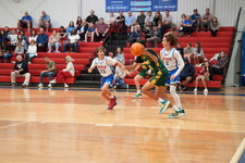 Enlarge photo 197
