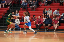 Enlarge photo 205