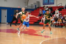 Enlarge photo 229