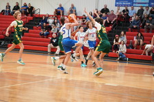 Enlarge photo 238