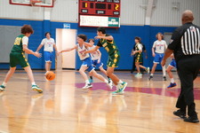 Enlarge photo 246