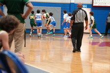 Enlarge photo 254