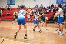 Enlarge photo 335