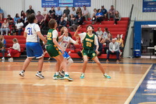 Enlarge photo 470