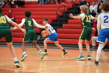Enlarge photo 482