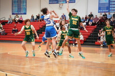 Enlarge photo 487