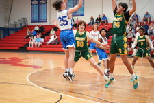 Enlarge photo 516