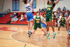 Enlarge photo 517