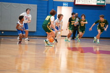 Enlarge photo 549