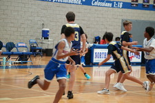 Enlarge photo 63