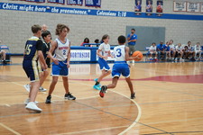 Enlarge photo 151