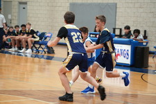 Enlarge photo 243