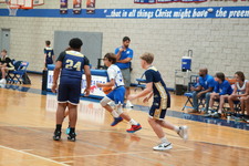 Enlarge photo 352