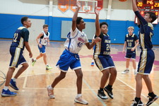 Enlarge photo 437