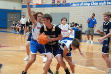 Enlarge photo 563