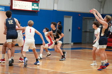 Enlarge photo 446