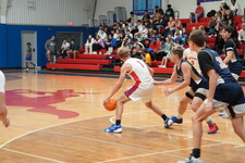 Enlarge photo 495