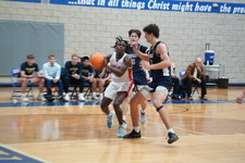 Enlarge photo 918