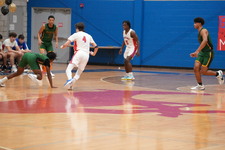 Enlarge photo 94