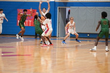 Enlarge photo 106