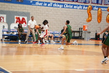 Enlarge photo 115