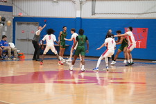 Enlarge photo 204