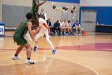 Enlarge photo 242