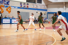 Enlarge photo 249