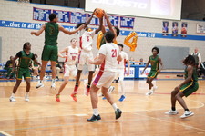 Enlarge photo 251