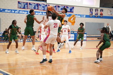Enlarge photo 252