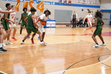 Enlarge photo 258