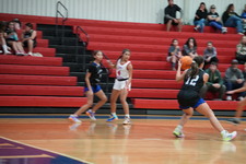 Enlarge photo 498