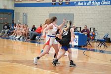 Enlarge photo 1083