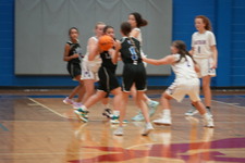Enlarge photo 313