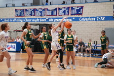 Enlarge photo 45