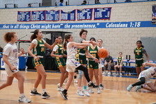 Enlarge photo 46