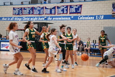 Enlarge photo 47