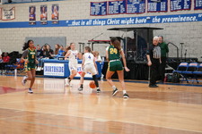 Enlarge photo 79