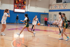 Enlarge photo 87