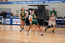 Enlarge photo 113